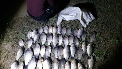 На Херсонщині браконьєри за тиждень наловили риби на 50 тисяч грн