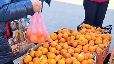 фоторепортаж новий рік