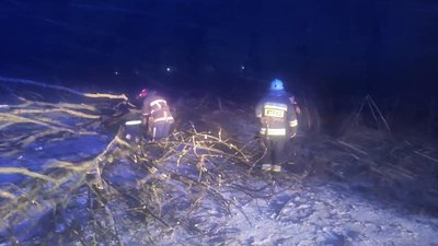 Повалені дерева та пошкоджені авто. На Франківщині рятувальники ліквідовували наслідки негоди Повалені дерева та пошкоджені авто. На Франківщині рятувальники ліквідовували наслідки негоди