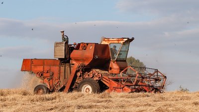 На Рівненщині 7-річний хлопчик потрапив під комбайн. Що кажуть у поліції