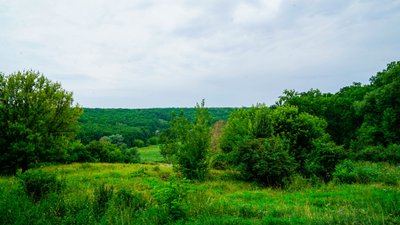 рєпін пленер рєпін пленер
