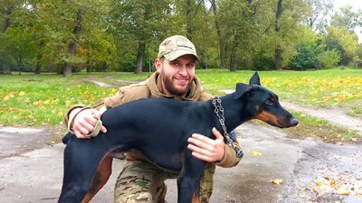 "З’явилися ми у неї, а не вона". Історії тварин, яких забрали сумські захисники "З’явилися ми у неї, а не вона". Історії тварин, яких забрали сумські захисники