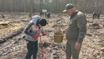 Дуби та сосни: на Волині переселенці з лісівниками засадили п'ять гектарів лісу Дуби та сосни: на Волині переселенці з лісівниками засадили п'ять гектарів лісу