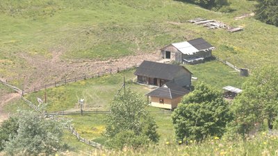 Бізнес на висоті. Як відкриття ринку землі впливає на прикарпатські полонини Бізнес на висоті. Як відкриття ринку землі впливає на прикарпатські полонини