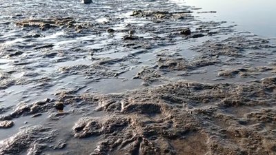 Підрив Каховської ГЕС: наслідки для Запорізької області – фоторепортаж Підрив Каховської ГЕС: наслідки для Запорізької області – фоторепортаж