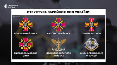 структура зсу структура зсу