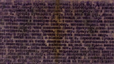 Центр досліджень визвольного руху оприлюднив документи з архіву УПА, який знайшли на Прикарпатті