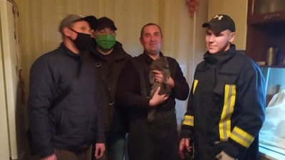 Нагодований і щасливий. У Франківську врятували котика