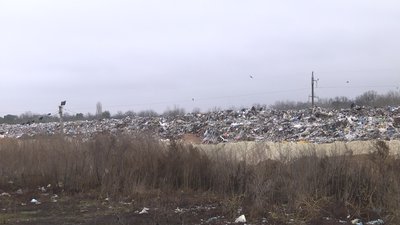 Чергове дослідження провели на сміттєзвалищі поблизу Луцька Чергове дослідження провели на сміттєзвалищі поблизу Луцька