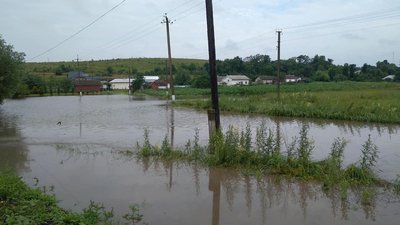 Підтоплені подвір'я та пасовища — наслідки негоди на Прикарпатті Підтоплені подвір'я та пасовища — наслідки негоди на Прикарпатті