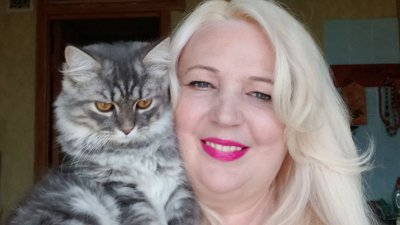 Зник кіт у місцевому готелі для тварин: поліція заборонила роботу закладу