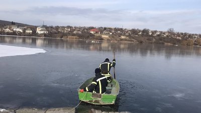 На Одещині рятувальники звільнили лебедів з крижаного ставка На Одещині рятувальники звільнили лебедів з крижаного ставка