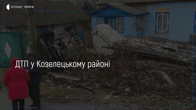 У Гарбузині авто злетіло з дороги і перекинулося на подвір’ї. Водій пропонував патрульним хабар