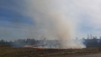 За добу на Житомирщині виникло 5 загорянь сухої рослинності За добу на Житомирщині виникло 5 загорянь сухої рослинності