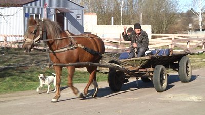 На період карантину сільські медпункти області перейшли на дистанційну роботу