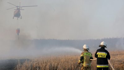 У Польщі четверту добу горить найбільший національний парк країни