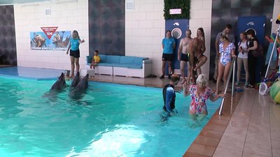 Ветерани АТО та ООС пройшли реабілітацію з дельфінами в Одесі Ветерани АТО та ООС пройшли реабілітацію з дельфінами в Одесі