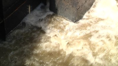 У Житомирі роблять лабораторні дослідження води у Тетереві через аварію на каналізаційній станції У Житомирі роблять лабораторні дослідження води у Тетереві через аварію на каналізаційній станції