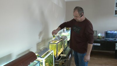 У Запорізькому обласному краєзнавчому музеї відкрилася виставка-конкурс "Переплетіння епох"