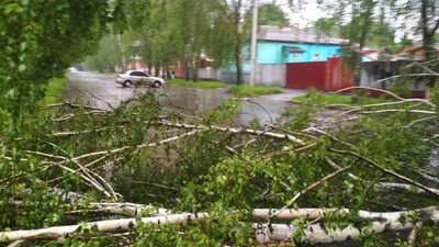 Негода у Сумах: дощ, шквали вітру та повалені дерева (фото)