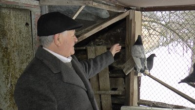 Розводить голубів на своєму подвір’ї. 80-річний Леонід Лазьов. СУСПІЛЬНЕ | ЛЮДИ