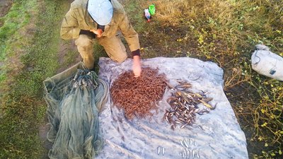 За місяць на Херсонщині браконьєри нанесли збитків природі на 125 тисяч гривень За місяць на Херсонщині браконьєри нанесли збитків природі на 125 тисяч гривень