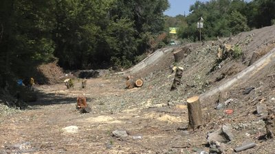 Біля траси Харків – Сімферополь у Запоріжжі вирубали дерева. Посадовці кажуть, що планово Біля траси Харків – Сімферополь у Запоріжжі вирубали дерева. Посадовці кажуть, що планово