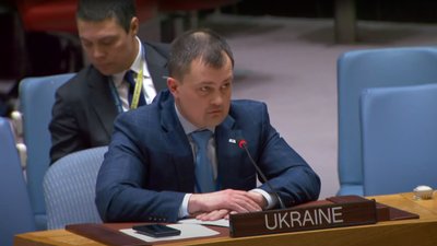 Сергій Дворник в ООН
