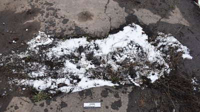 На деокупованій Миколаївщині правоохоронці виявили тіло чоловіка, який загинув під час обстрілу На деокупованій Миколаївщині правоохоронці виявили тіло чоловіка, який загинув під час обстрілу