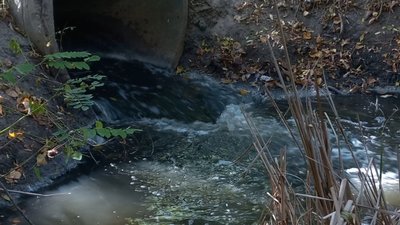 Неприємний запах та мутна вода: жителі "Червоного каменю" у Дніпрі розповідають про забруднення річки