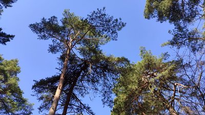 Погода у березні на Вінниччині