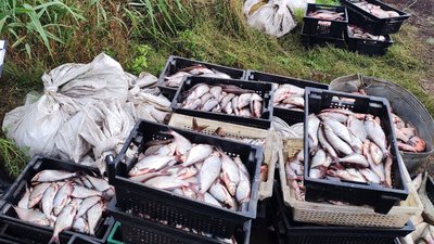 Завдали збитку на понад мільйон гривень: на Полтавщині у рибалок вилучили незаконний вилов