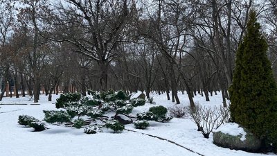 Скою буде погода у новорічну ніч на Кіровоградщині
