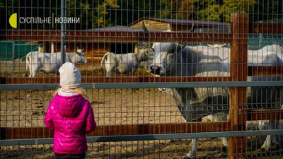 Межигір'я сьогодні. Фоторепортаж Межигір'я сьогодні. Фоторепортаж