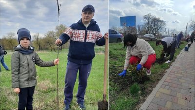 "Ми робимо це для себе і наших дітей". У Новоукраїнці містяни посадили 60 лип та 60 кущів самшиту