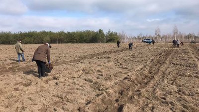 комунальні поля малини комунальні поля малини