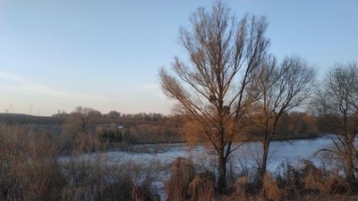 На Черкащині у ставку знайшли тіло підлітка, який провалився під кригу