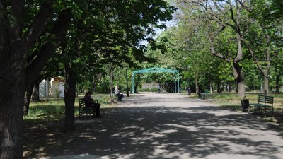 Другий день послаблення карантину. Що відбувається в Миколаєві Другий день послаблення карантину. Що відбувається в Миколаєві