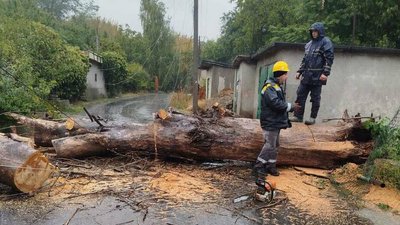 Енергетики, ДТЕК, світло