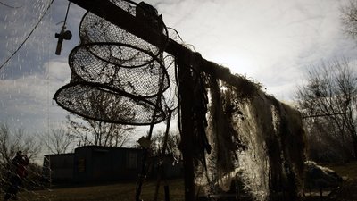 На Азовському морі вилучили понад два кілометри браконьєрських сіток