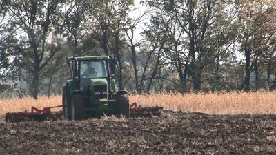 Розповіли про ситуацію з озимими на Черкащині Розповіли про ситуацію з озимими на Черкащині