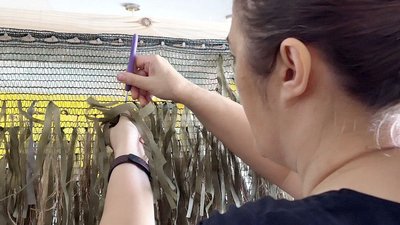 Мешканці Сумщини виготовляють маскувальні сітки для українських військових Мешканці Сумщини виготовляють маскувальні сітки для українських військових