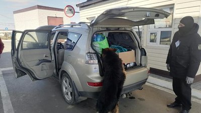 На Херсонщині прикордонники завадили незаконному перевезенню медикаментів