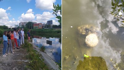 У Кропивницькому виготовили ЕМ-колобки для очищення річки