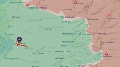 Нижче Солоне Борівської громади