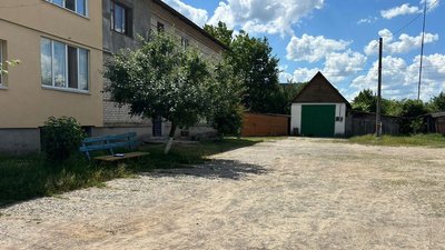 смерть дитини, ДТП, загинув під колесами, Ємільчине, поліція