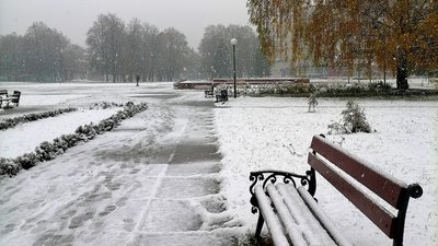 Перший сніг на Сумщині: фоторепортаж