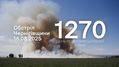 Шахеди, Молнія, FPV-дрони та скиди: російська армія атакувала прикордоння Чернігівщини
