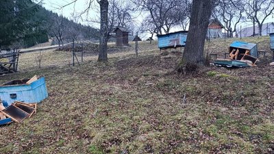 Вулики, які поламав ведмідь, на хуторі в Усть-Путильській громаді