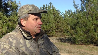 Від збору насіння до відновлення лісів: як і для чого заготовляють шишки на Миколаївщині Від збору насіння до відновлення лісів: як і для чого заготовляють шишки на Миколаївщині